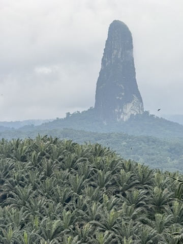 Rota do Sul - paisagens e praias